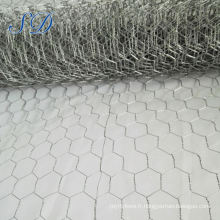 Usine de la Chine 1/2 &quot;Hexagonal Wire Mesh Netting